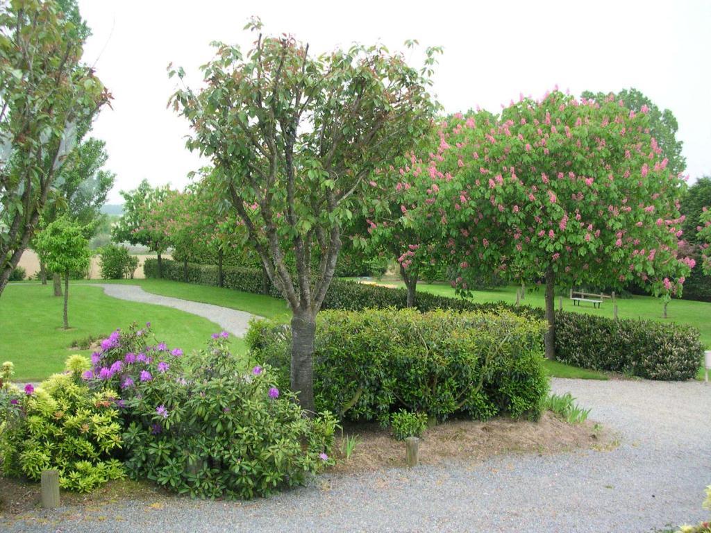 Hotel Le Bretagne Louvigné-de-Bais 외부 사진